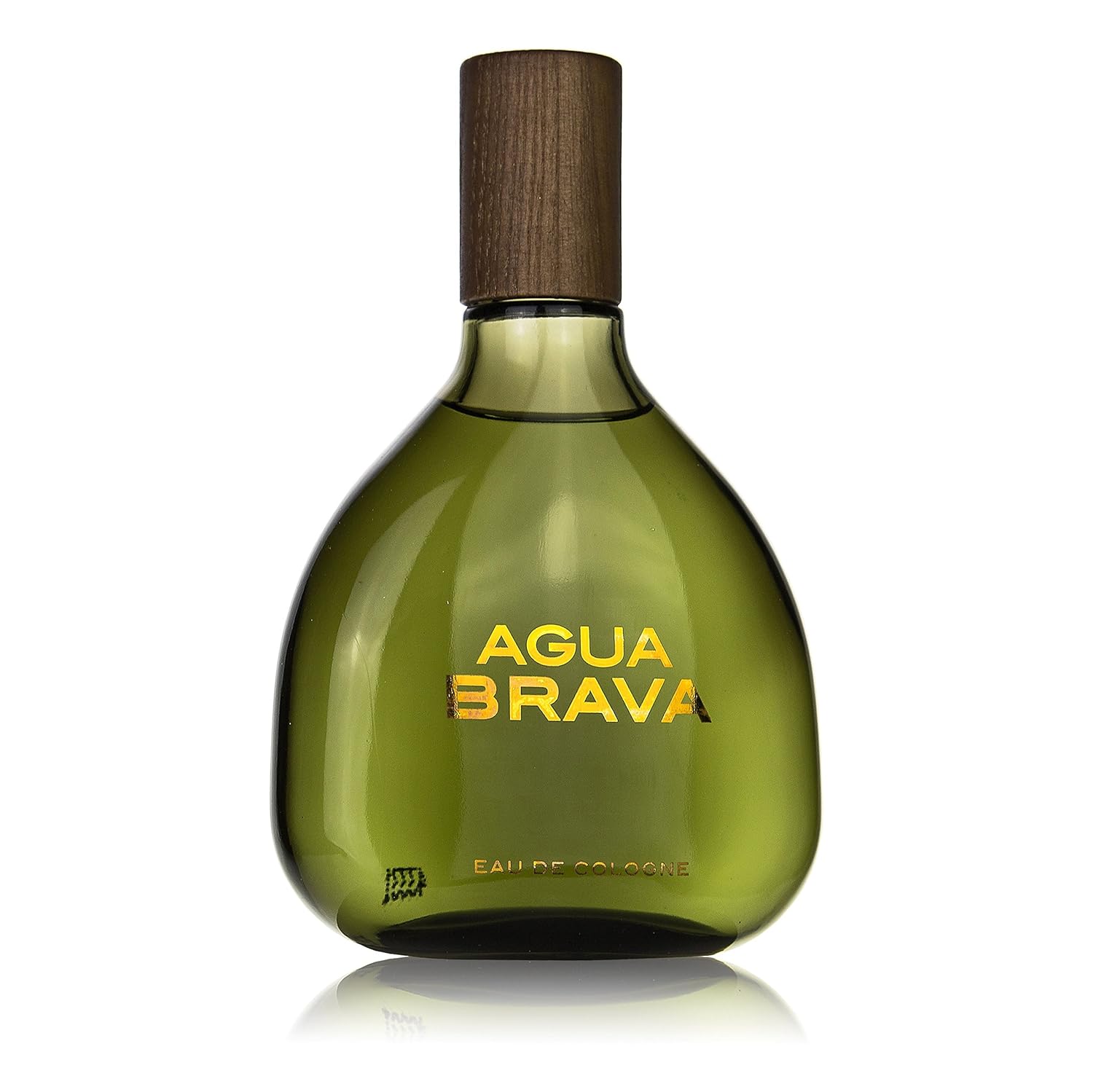 Puig Agua Brava Cologne by Antonio For Men Colognes 3.4 oz