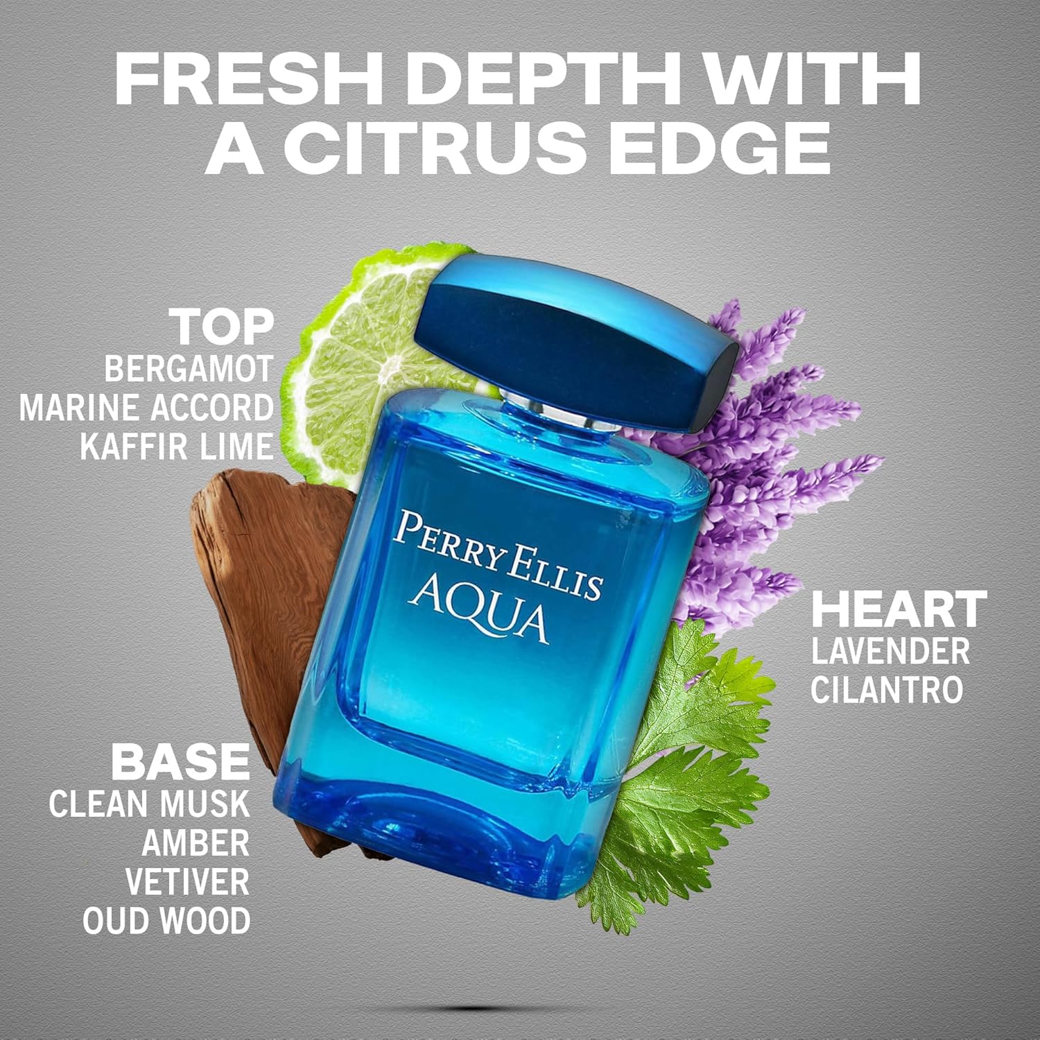 Perry Ellis Men's Aqua EDT Spray 3.4 oz