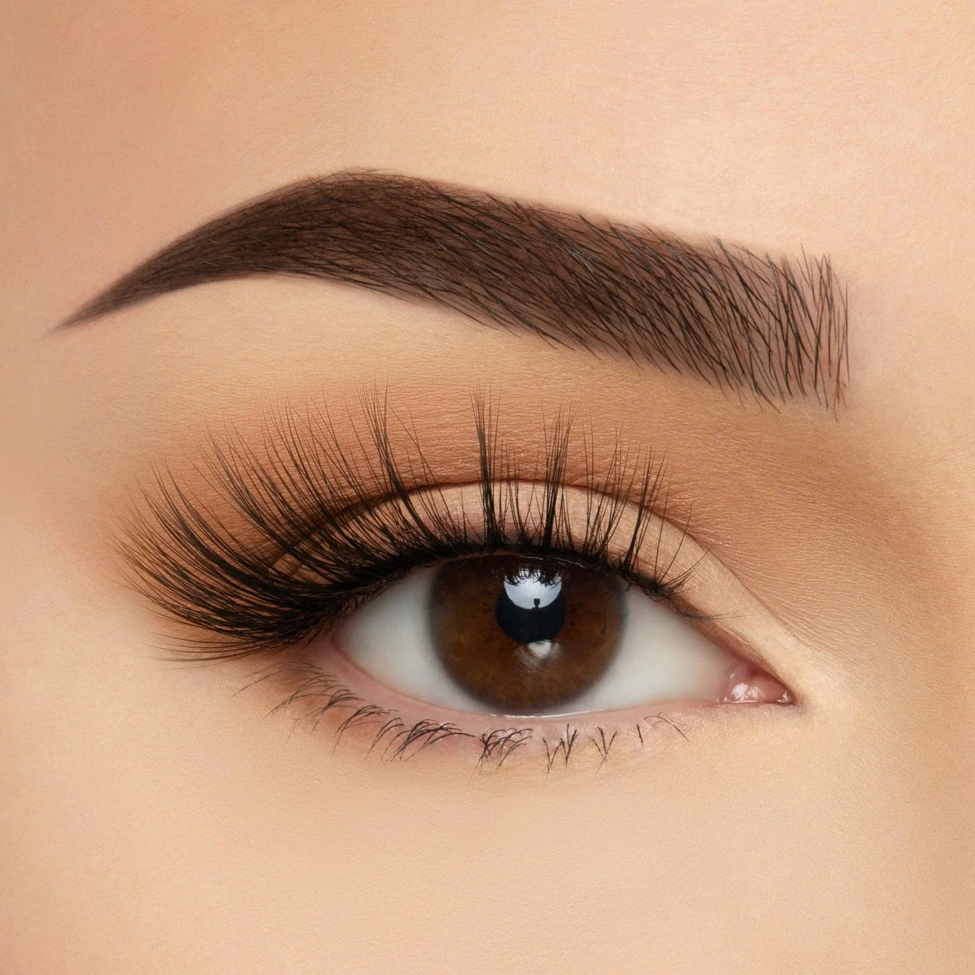 Beauty Creations Take Me Somewhere Silk Lash Collection