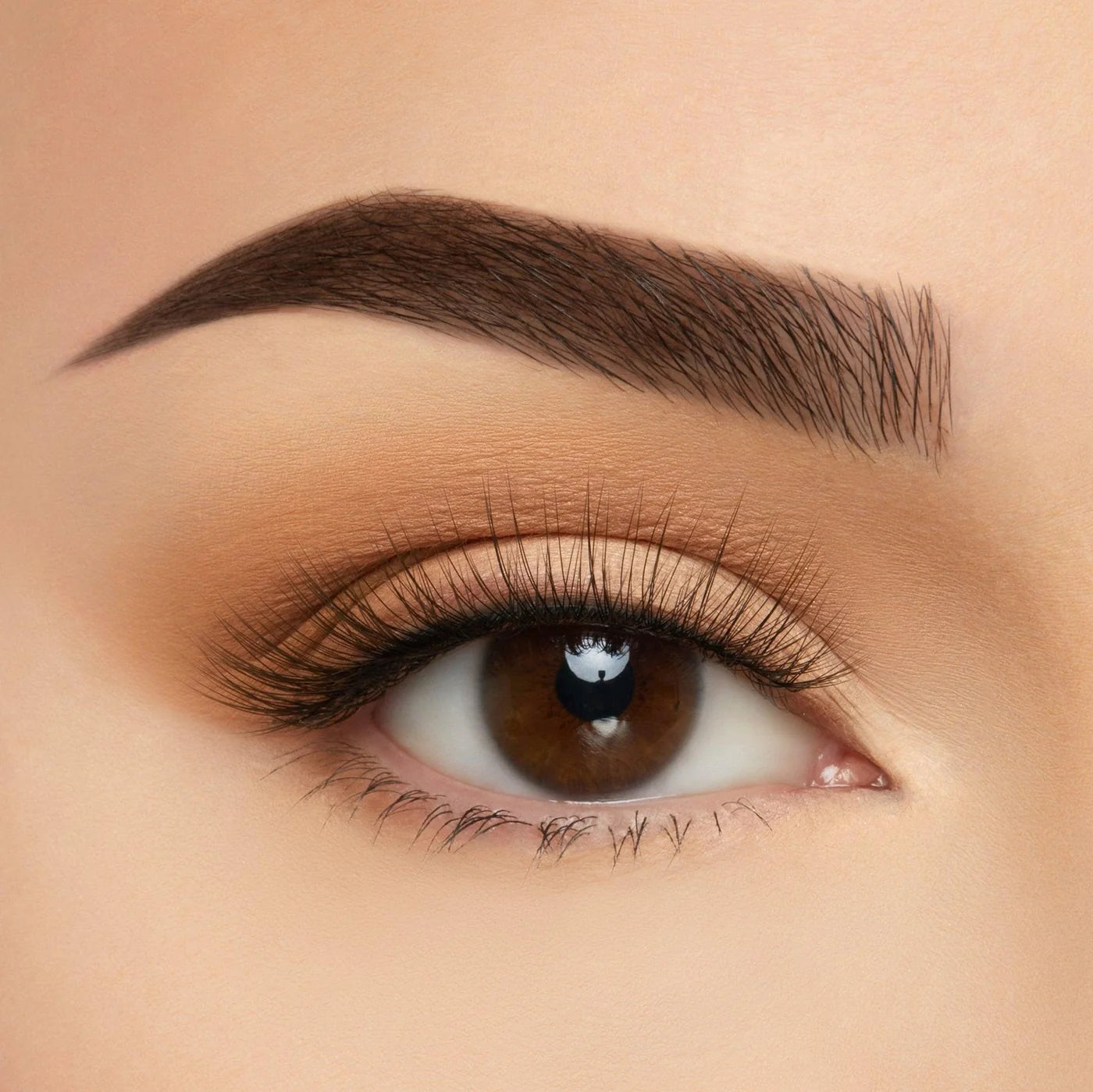 Beauty Creations Take Me Somewhere Silk Lash Collection