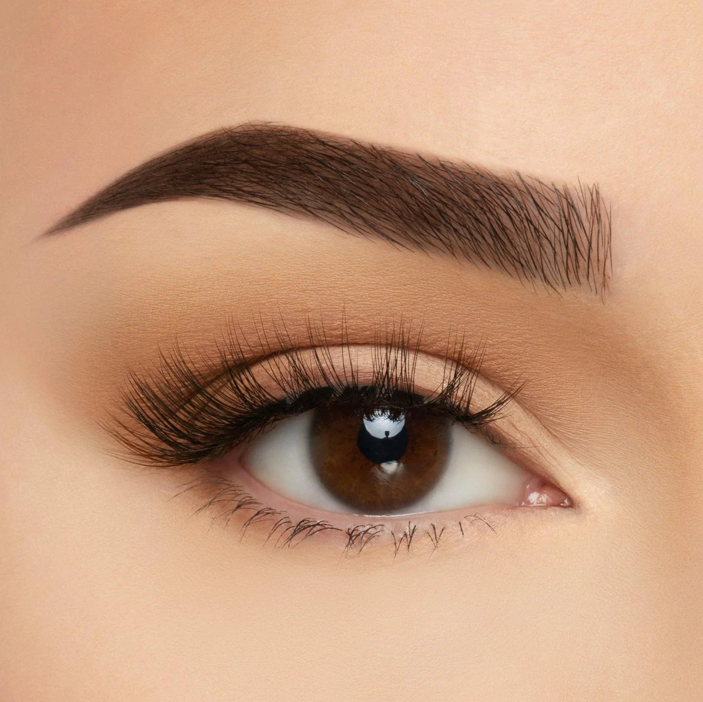 Beauty Creations Take Me Somewhere Silk Lash Collection