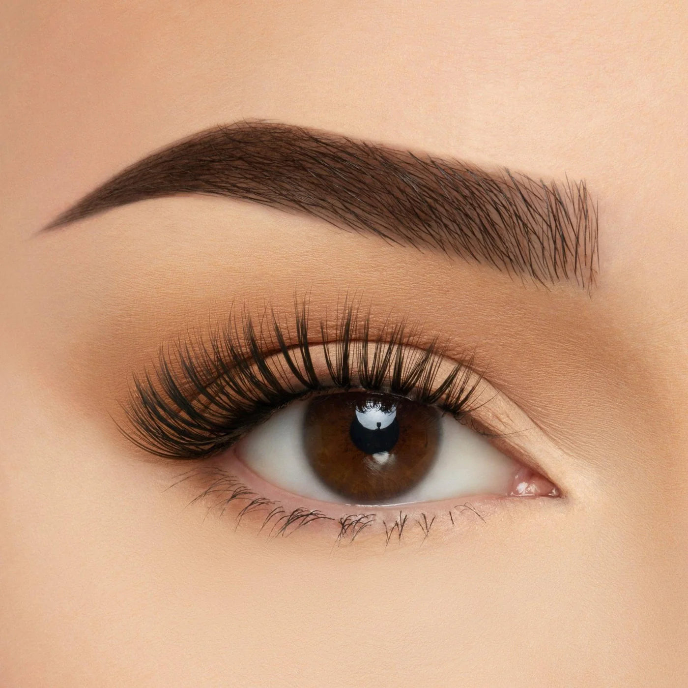 Beauty Creations Take Me Somewhere Silk Lash Collection