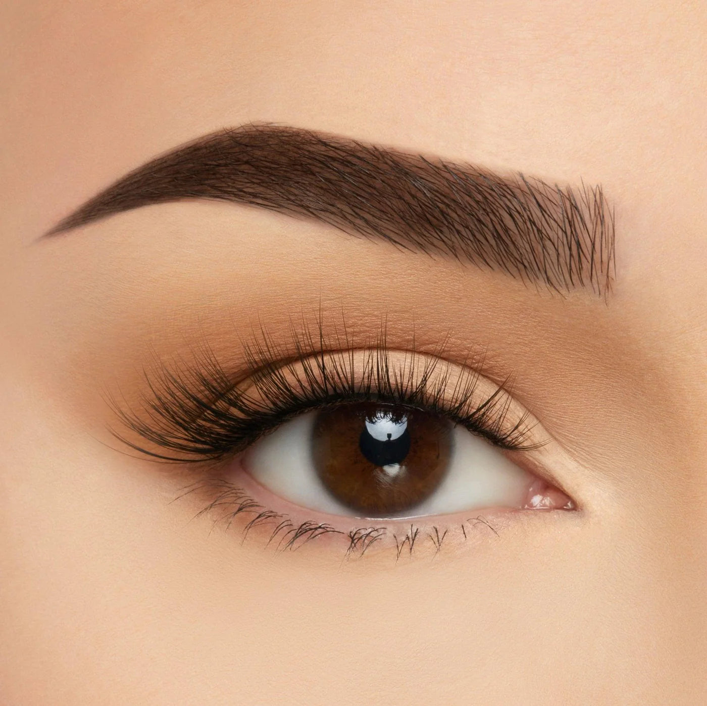 Beauty Creations Take Me Somewhere Silk Lash Collection